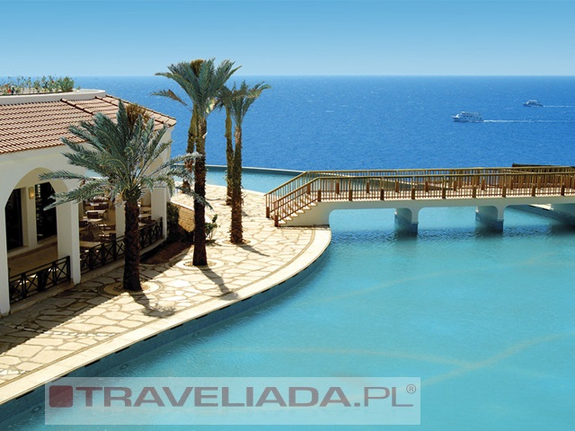 REEF OASIS BLUE BAY