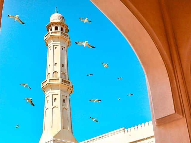 Egzotyka Light – Oman