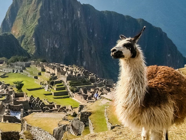 Cuda Świata - Machu Picchu Premium