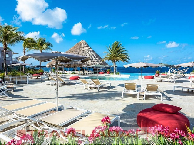 Coral Estate Luxury Resort