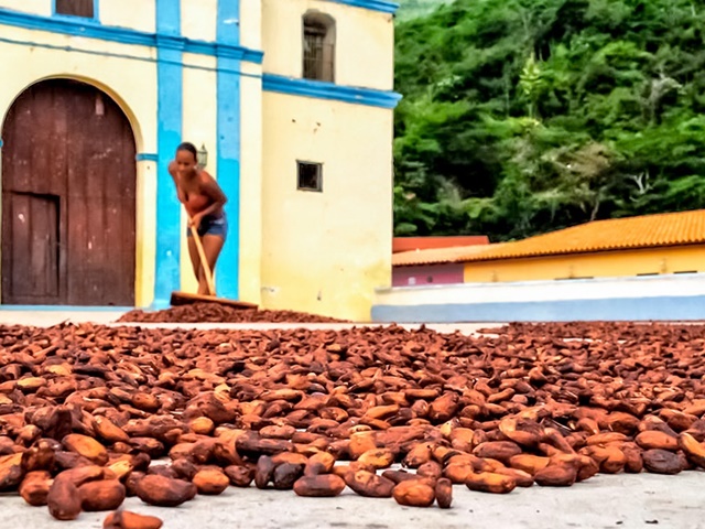 Rum, kawa, czekolada